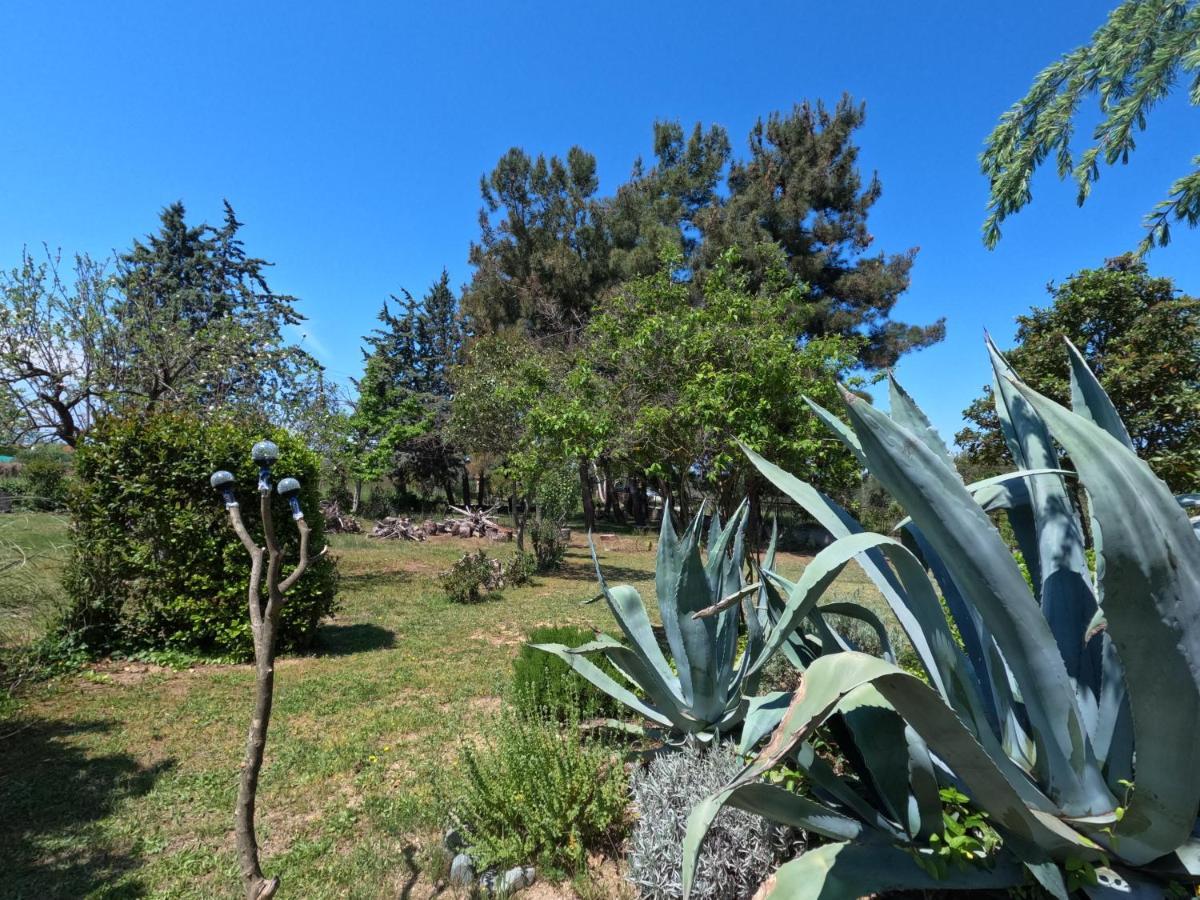 Pond And Pines, By Nice House By The Sea! Epanomí Exterior foto