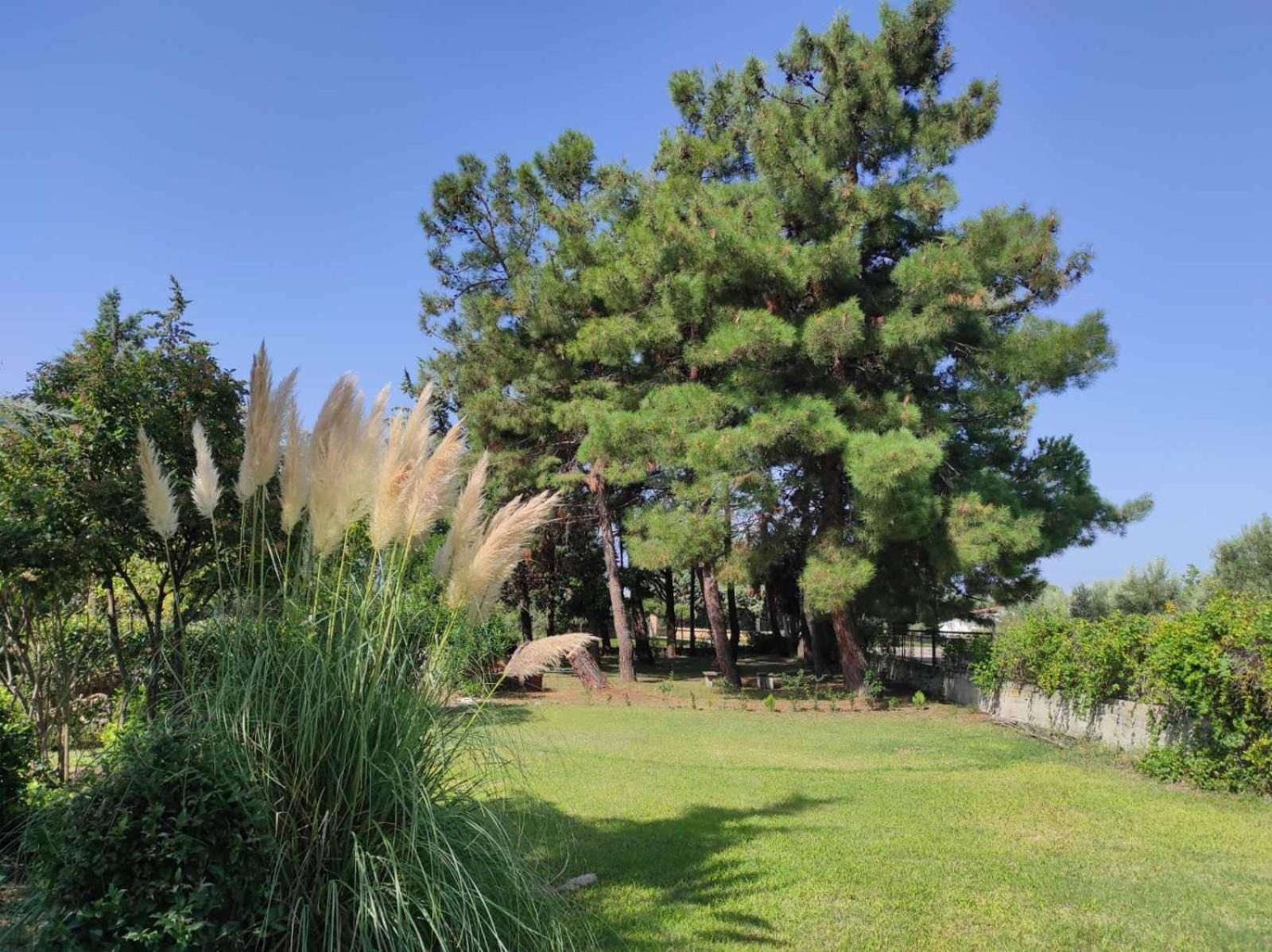 Pond And Pines, By Nice House By The Sea! Epanomí Exterior foto